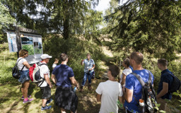gefuhrte-wanderungen-auf-dem-fluchthelferweg-in-troisvierges-X1VXhl