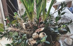 fruhlinsgdekoration-4gp8WO