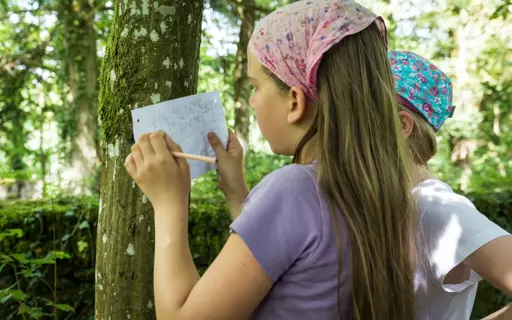 auf-schatzsuche-im-wald-niSxLw