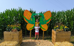 corn-maze-sennesraich-61VVzm