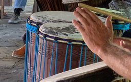 djembe-participatory-workshop-T_mP5N